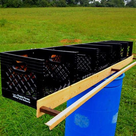 rural king nesting boxes